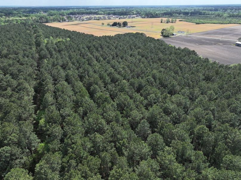 dji_fly_20260315_121206_0543_1775758654489_photo