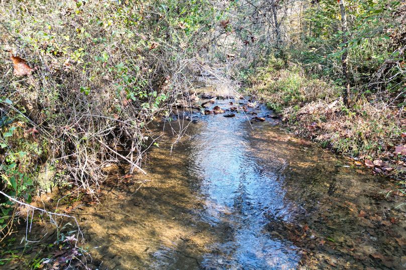 15 Creek 13