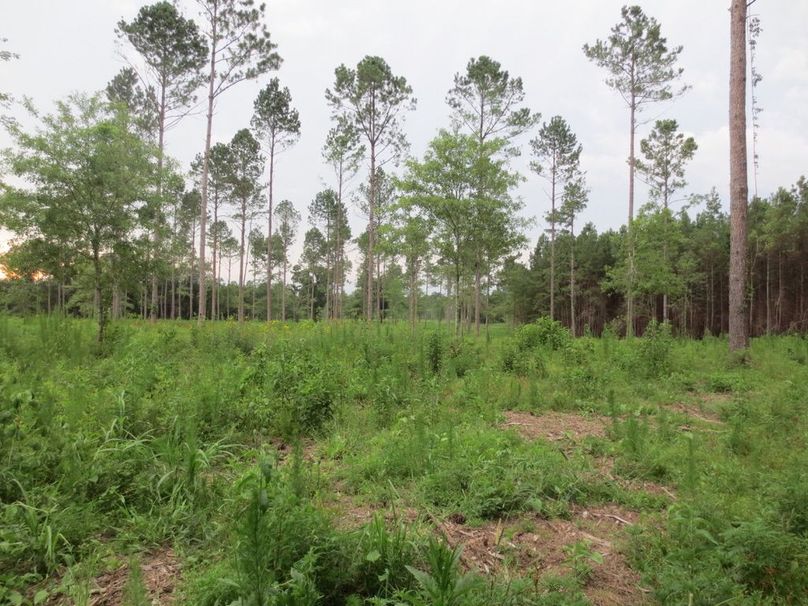 FEF7479C-0041-408F-A975-4C8FC30B3888_1_105_c