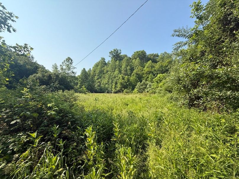 018 open field area at the old homestead and south boundary, perfect for a cabin-2