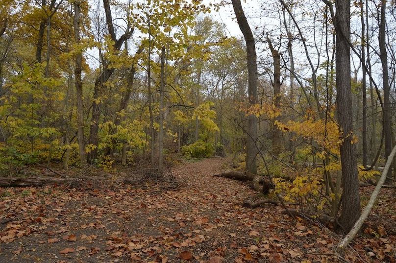 trail along east side of river