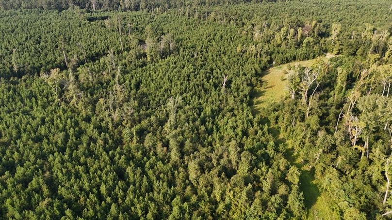 dji_fly_20250903_215916_0024_1756926951089_photo