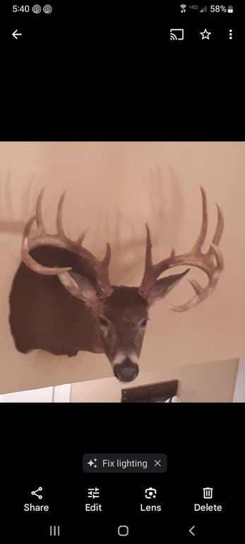 Screenshot_20231003-174046_Photos