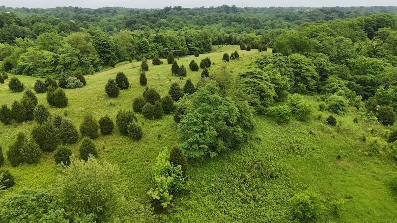 DJI_20250605125305_0607_D