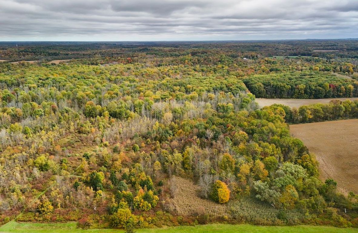 Wayne_29.09_BD_LandParcel_1