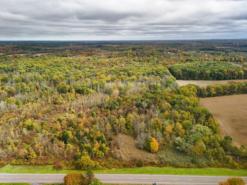 Wayne_29.09_BD_LandParcel_1