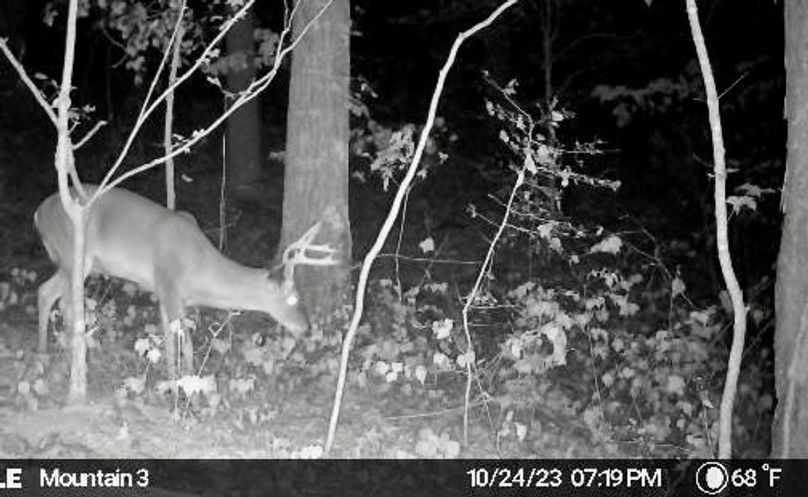 image638338633444943056