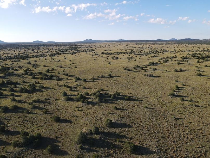 dji_fly_20240816_074618_505_1723816099128_photo