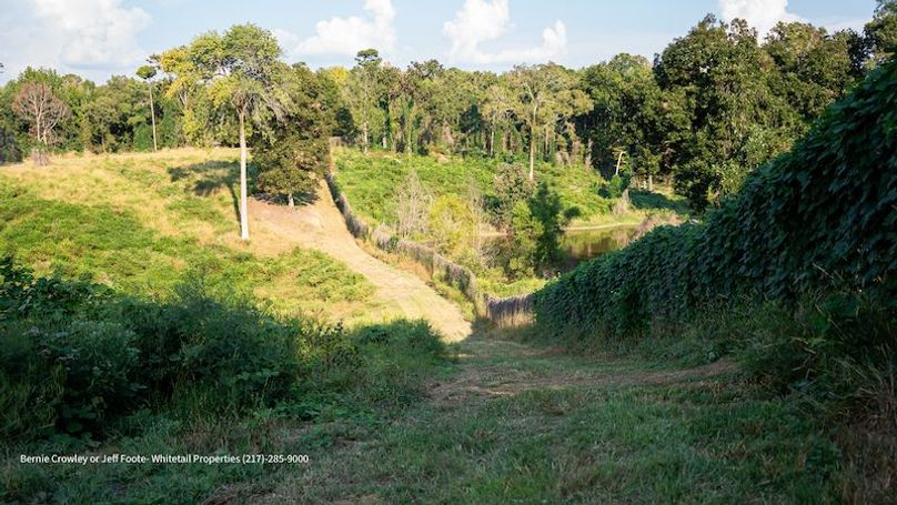 Tallahatchie 847 Messina-29