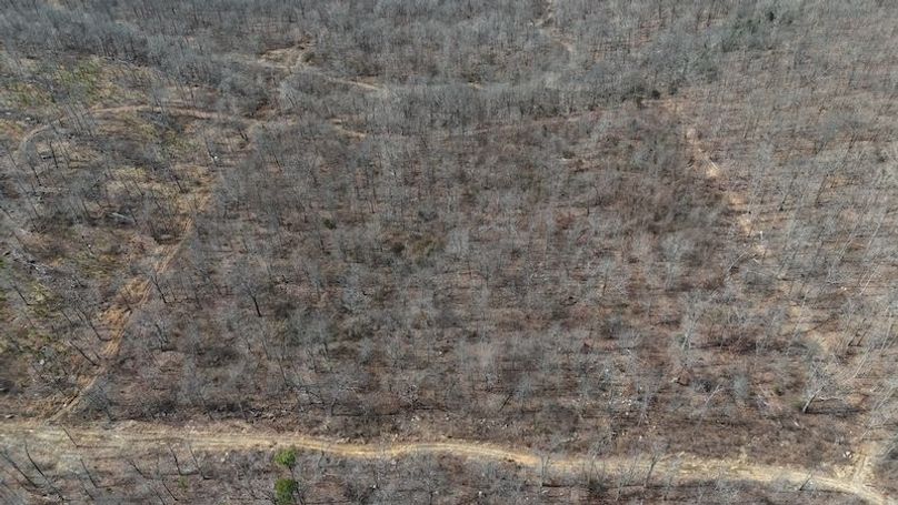 stone8020260307_0047