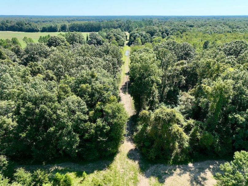 dji_fly_20250903_114132_114_1756914525119_photo