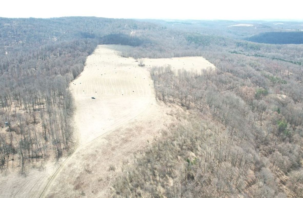 dji_fly_20250325_123516_45_1742920833346_photo