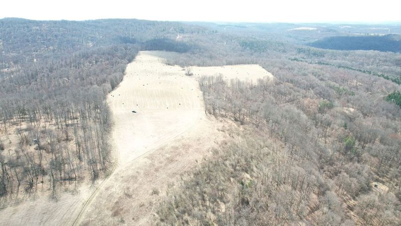 dji_fly_20250325_123516_45_1742920833346_photo