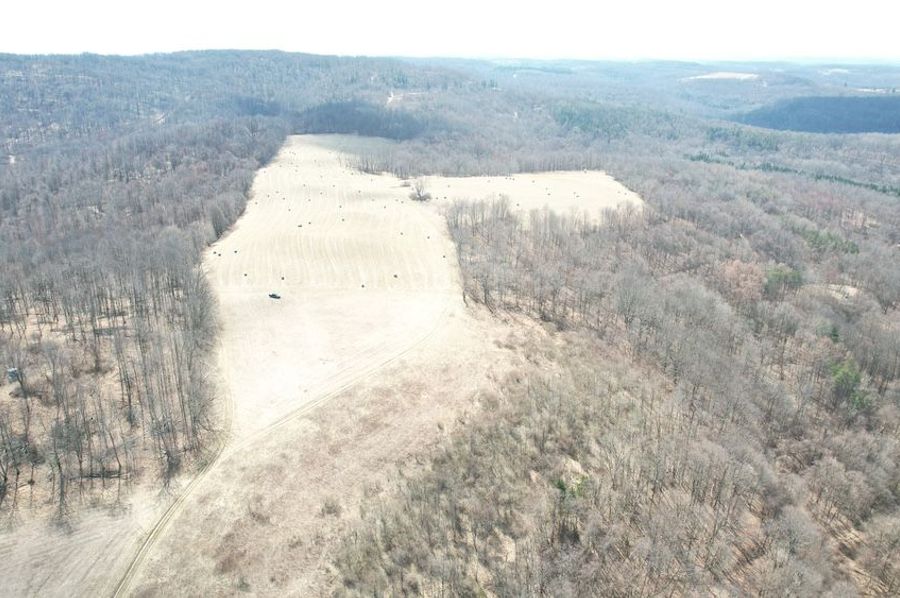 dji_fly_20250325_123516_45_1742920833346_photo