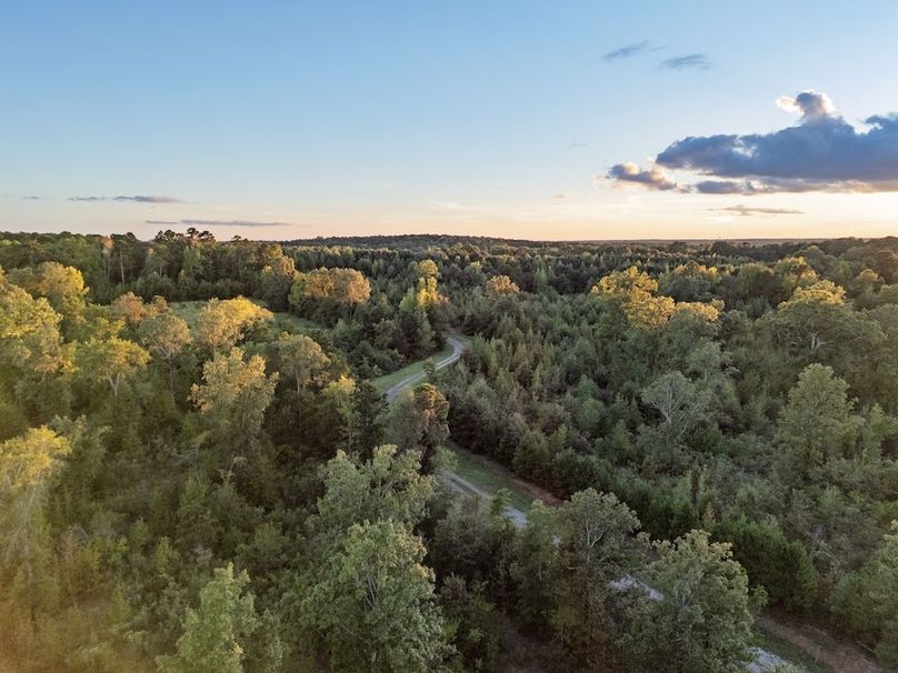 39 Edited Harison co. 206 - Ed Robb-034