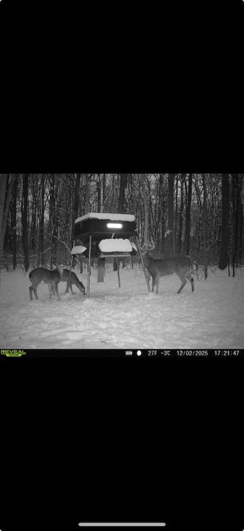 Screenshot 2026-01-09 at 12.36.37 PM