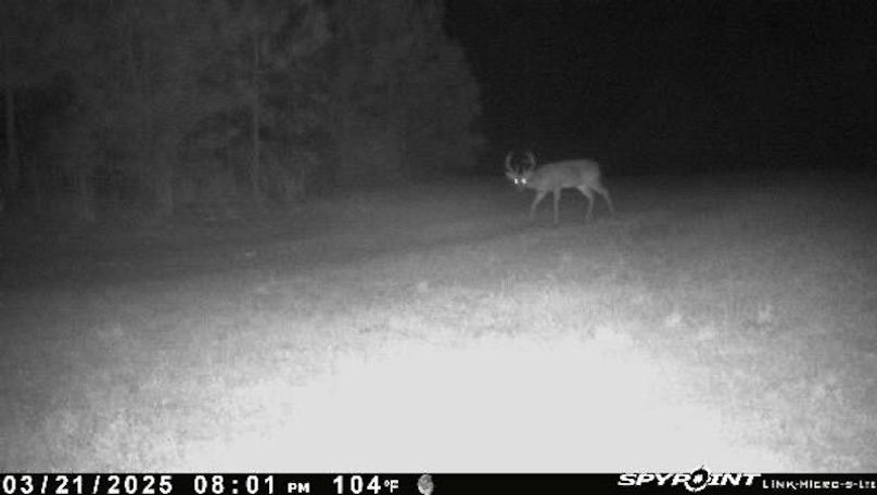 Trail Pic 2