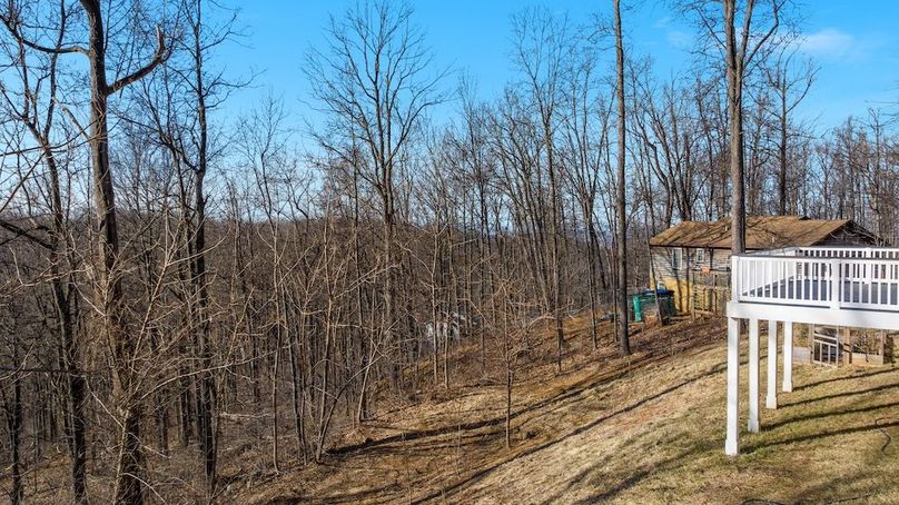 37-DJI_20260123142648_0180_D_145 Tulip Poplar Dr - Absolute Altitude -1 - 2025 - 35