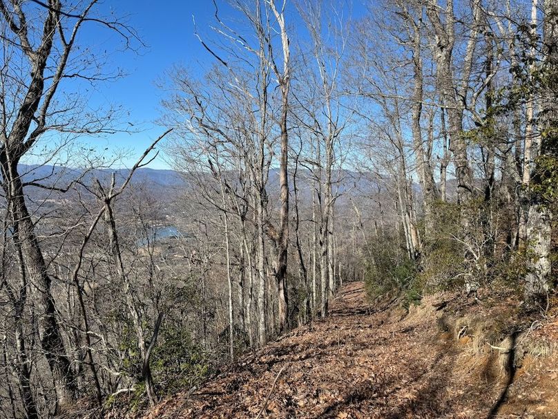 032 Clay 124.76 Fleaback-24