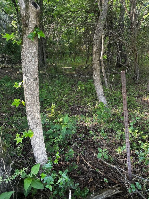 Copy of IMG_7700 (1)