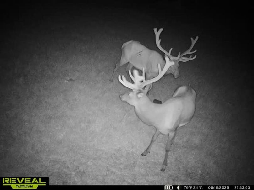 865509052769050-40-3-06192025213326-W1001310