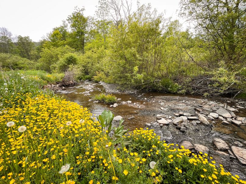 Tompkins_10.85-Gregrow_Photos_20