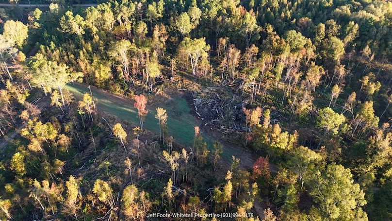 Claiborne Co-151-Geronimo-11