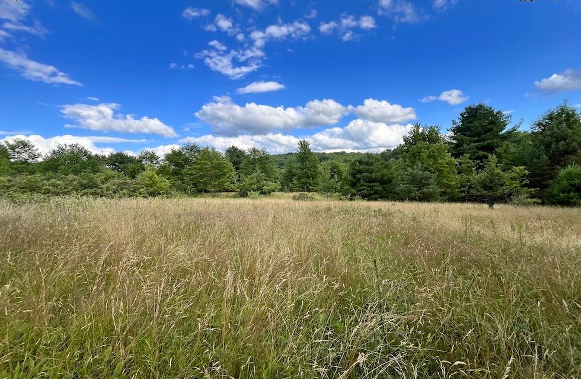 Chemung_77.71_Gutchess_Lumber_1