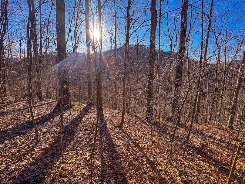 Lewis, WV 82.87 AC Barger-59