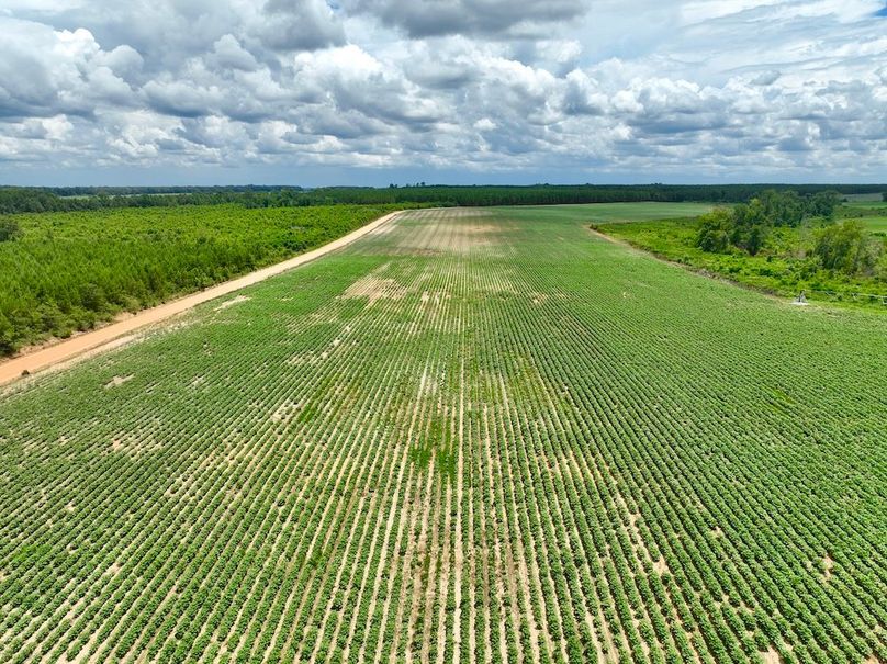 dji_fly_20240703_142620_508_1720038340973_photo