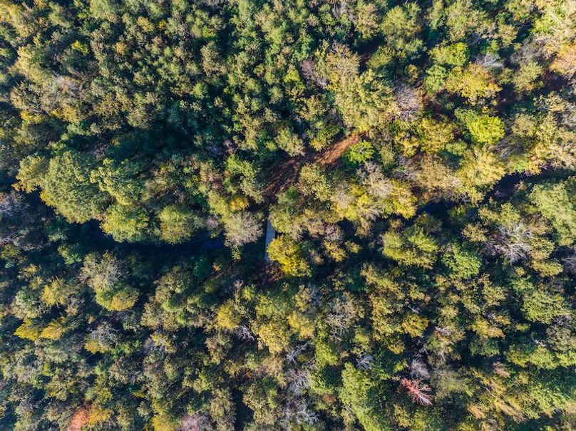 Clay 302.7 Henderson-42