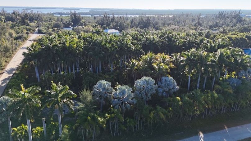 DJI_20260206085425_0228_D