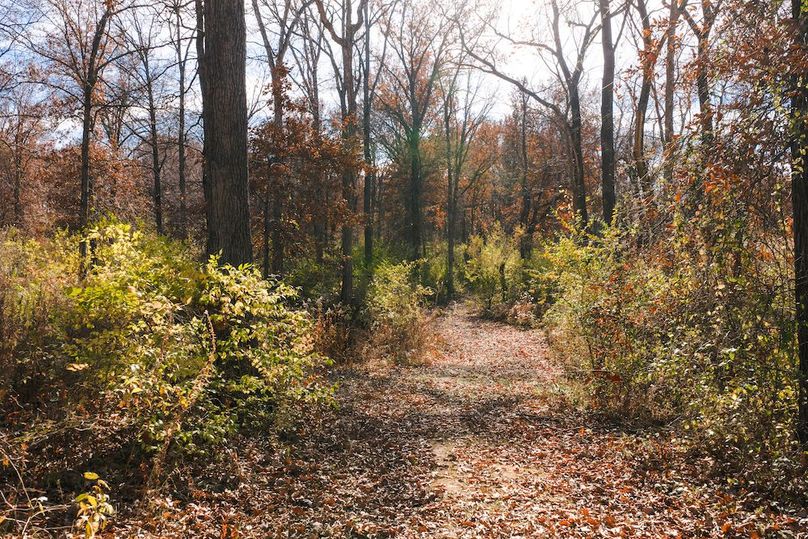 DJI_20251116124333_0164_D