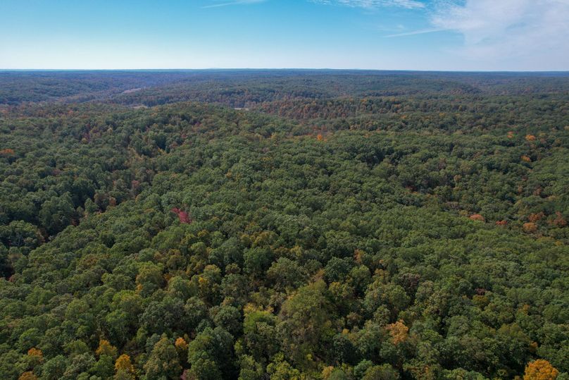 DJI_0269