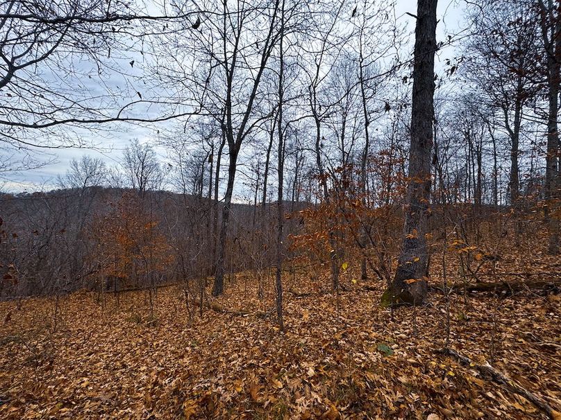 Ritchie, WV 100 AC Harper-12