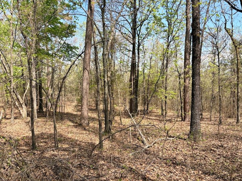 A3115F6D-2A35-475D-A77D-B37D714F6FAE_1_201_a