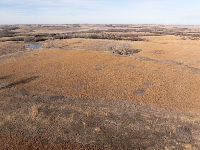 DJI_20260112145946_0592_D