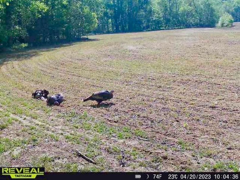 865519049947982-100-4-04202023100436-W1000399