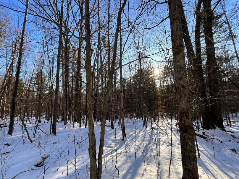 Tioga_11.9_Kilroy_Photos_22