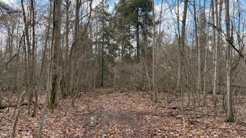 C30257E1-2D0D-4EF5-AB6D-AEC25F875BA9_4_5005_c