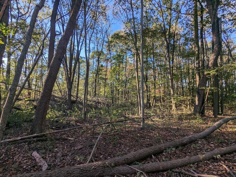 PXL_20251001_215627281