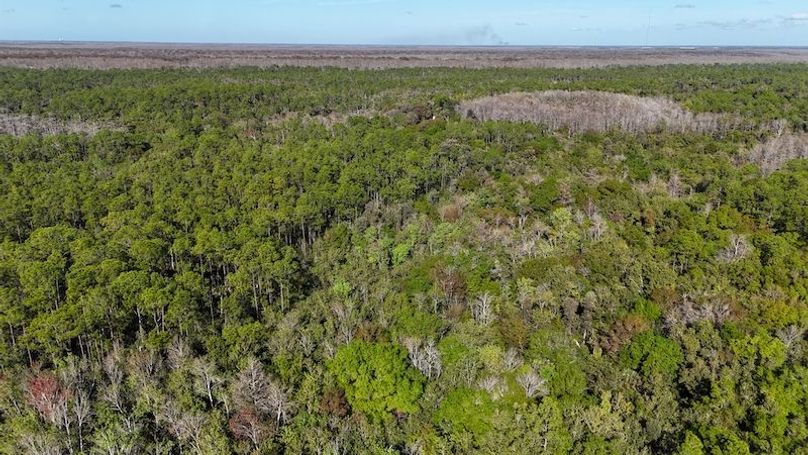 DJI_20260108102423_0109_D