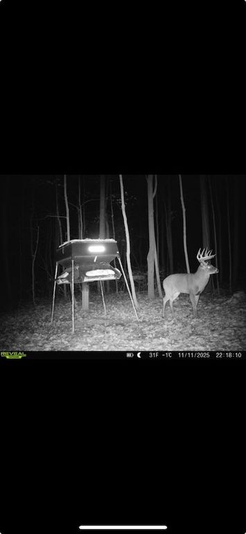 Screenshot 2026-01-09 at 12.38.02 PM