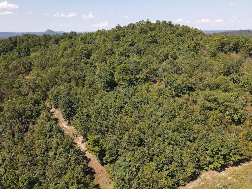 dji_fly_20250902_122122_757_1756833706343_photo