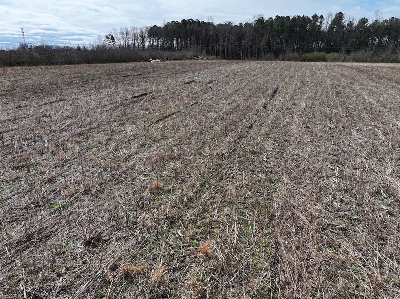 DJI_20240305095500_0036_D