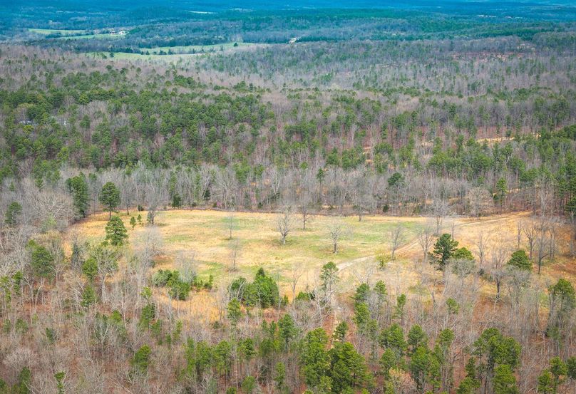 DJI_20250403120419_0570_D