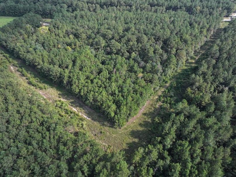 dji_fly_20250915_161344_0486_1758029007561_photo