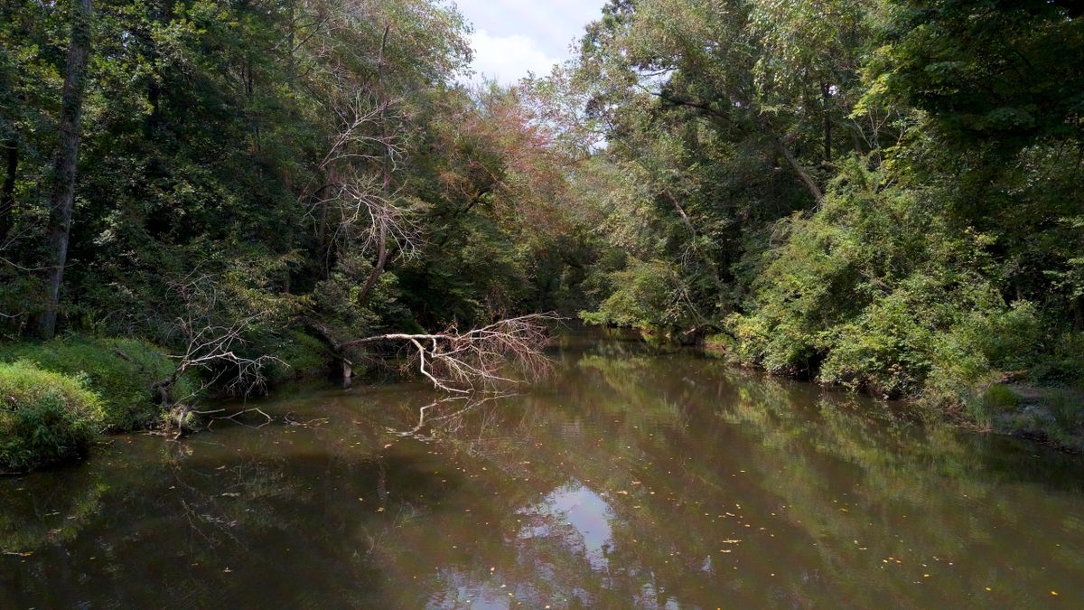 Little River Gem Near Zebulon Whitetail Properties