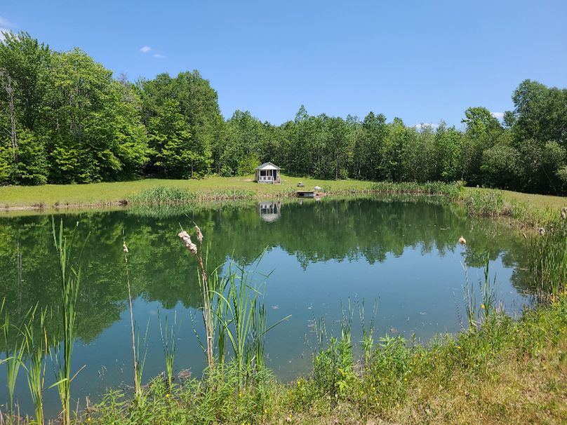 photo_e9979d74-b907-439a-8f6f-3a2eae2cb59a