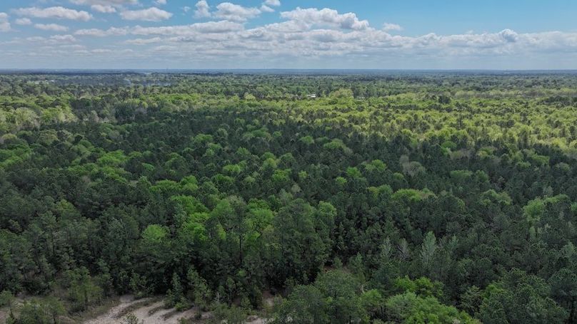 DJI_20260327120216_0063_D